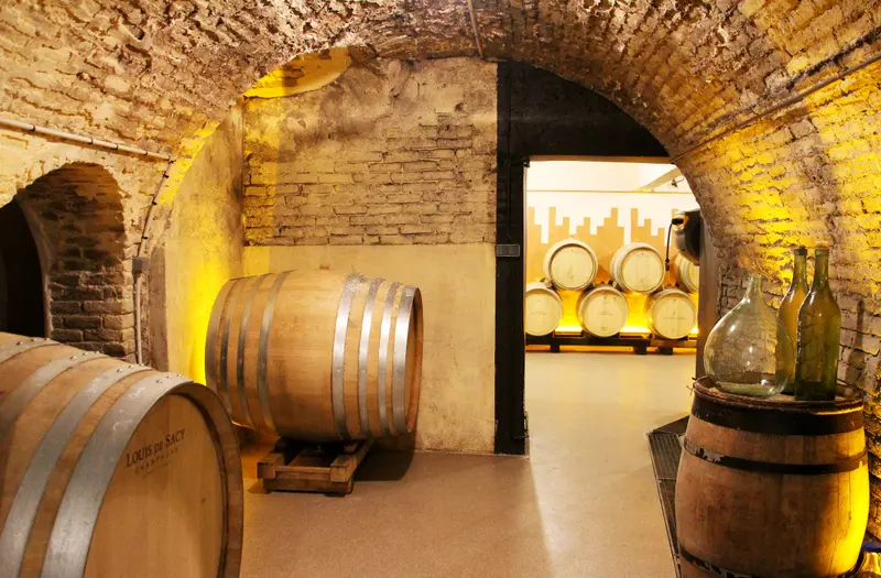 Vue de la cave rénovée avec éclairage adapté – projet Filtrer, Sacy, Marne, FAIRE Architecte