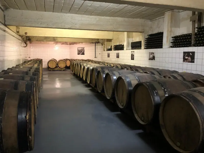 Zone de stockage de la cave avant travaux – projet Filtrer, Sacy, Marne, FAIRE Architecte
