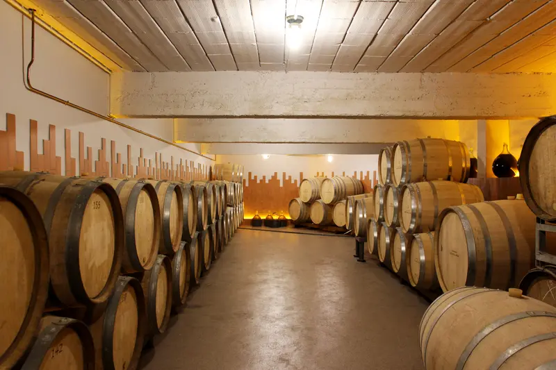 Voir le projet Filtrer – cave de vieillissement rénovée, Sacy, Marne, FAIRE Architecte